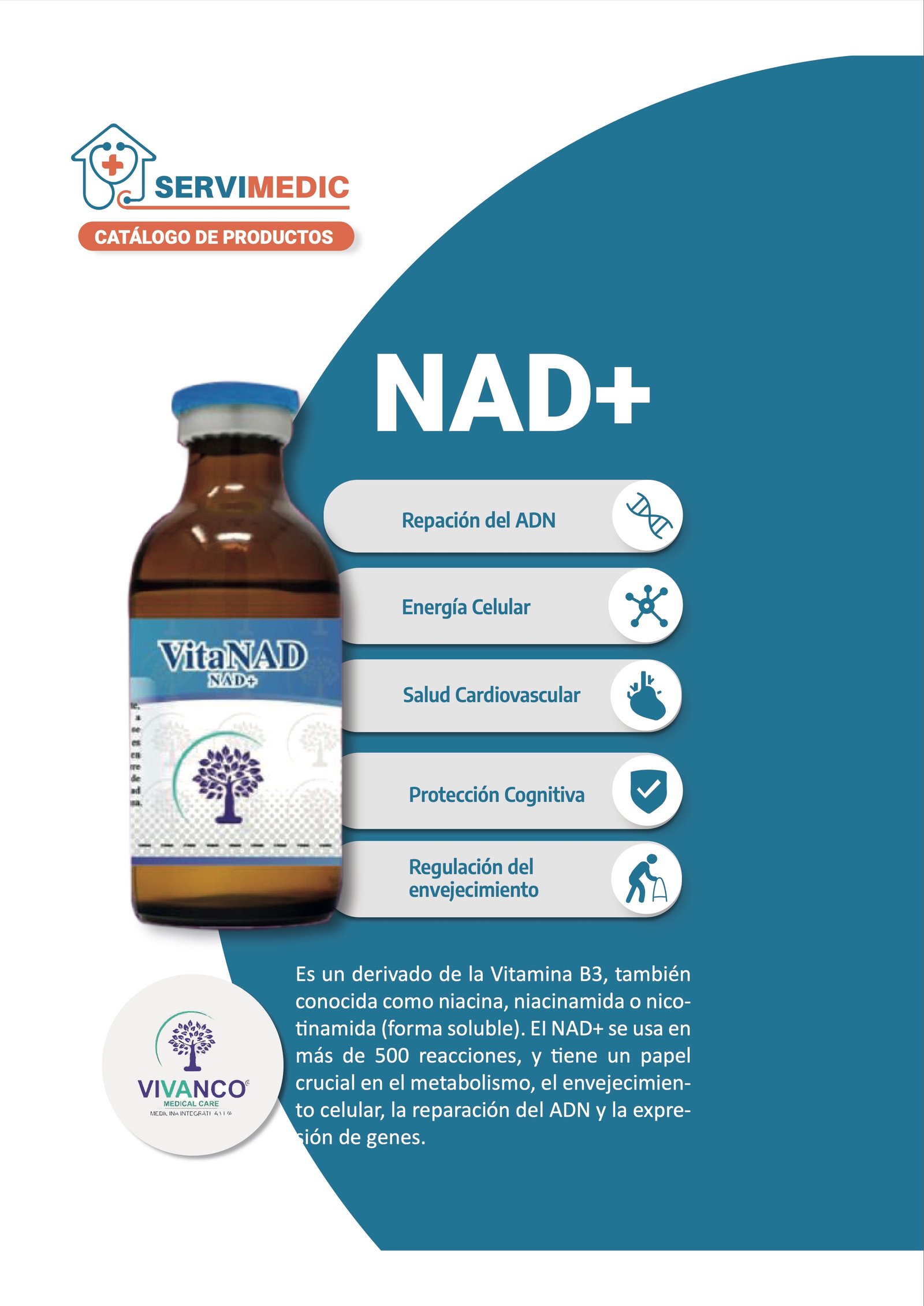 Página 12 del Catálogo 2